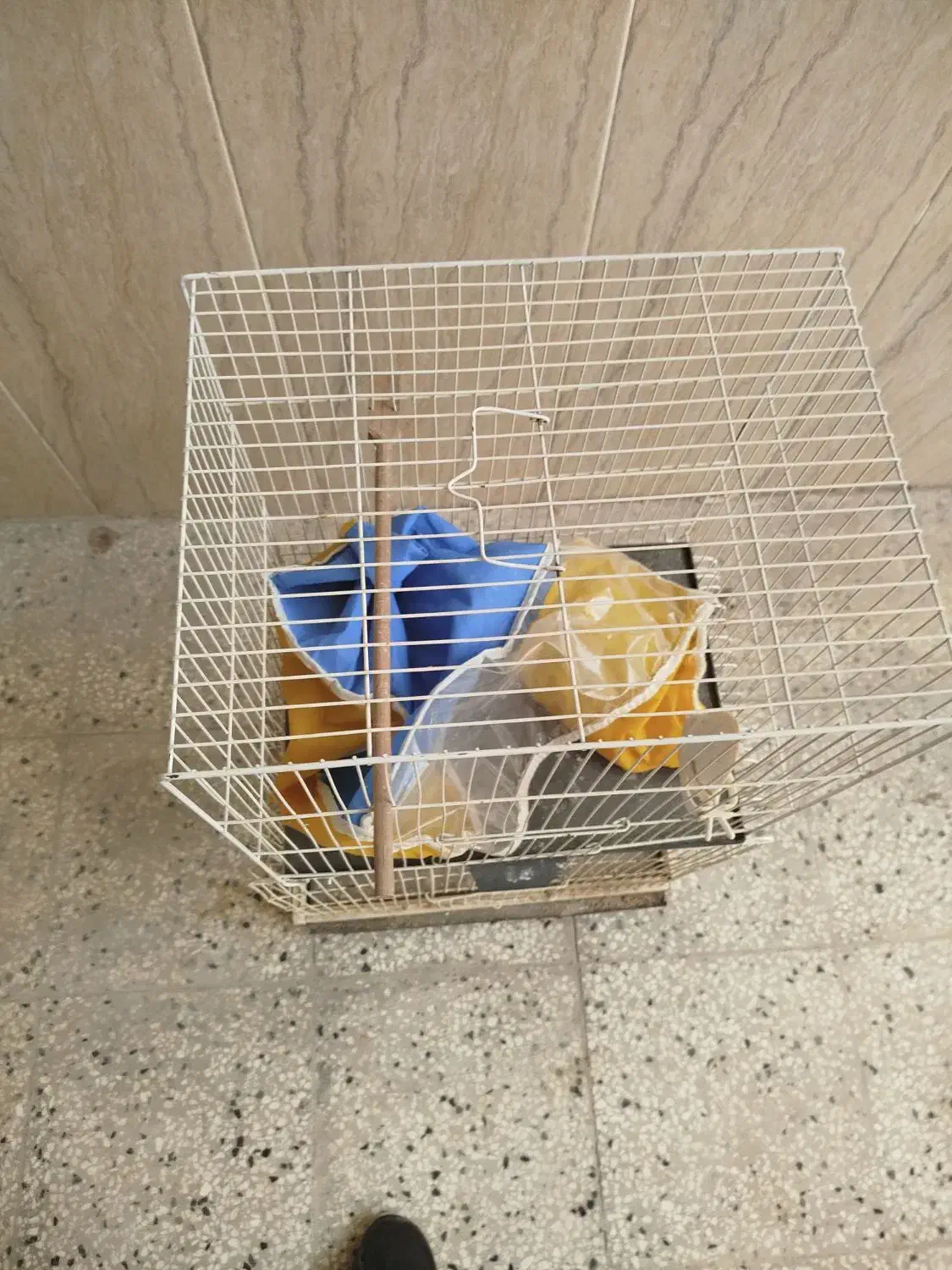 قفس پرنده|لوازم جانبی حیوانات|تربتحیدریه, ده پائین|دیوار