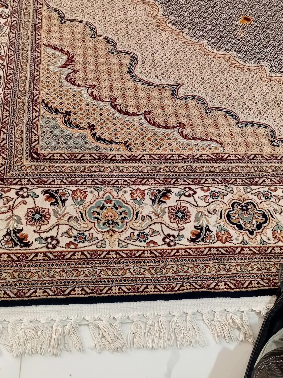 فرش ۱۲متری|فرش|تربت جام, جامرود|دیوار