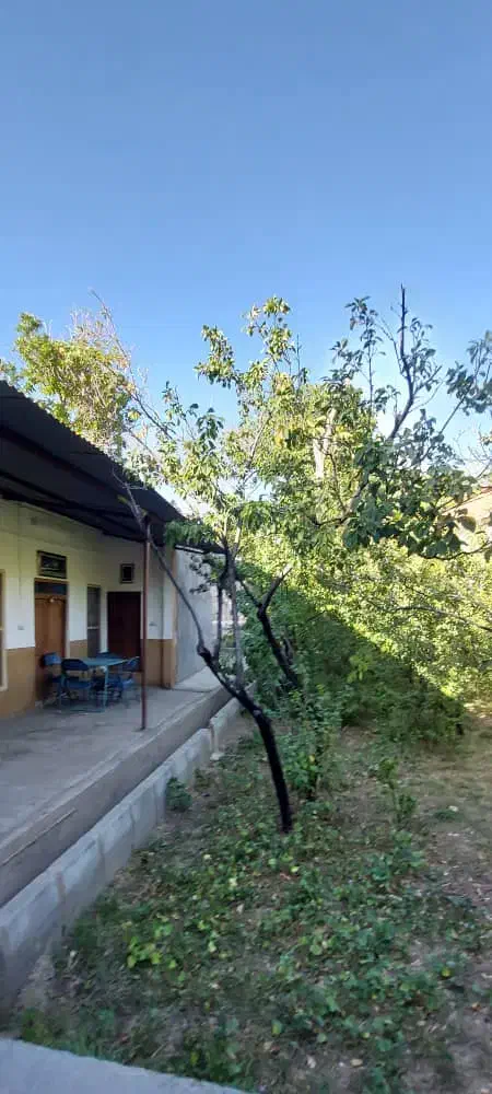 ویلایی حیاط دار تک خواب در مرکز شهمیرزاد سمنان|اجارهٔ کوتاهمدت ویلا و باغ|شهمیرزاد, |دیوار