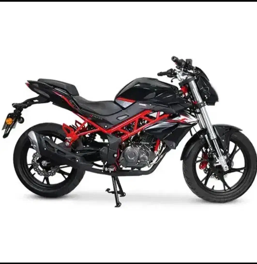 بنلی ۲۵۰ مدل ۱۴۰۳ در حد نقدواقساط|موتورسیکلت|بیرجند, |دیوار