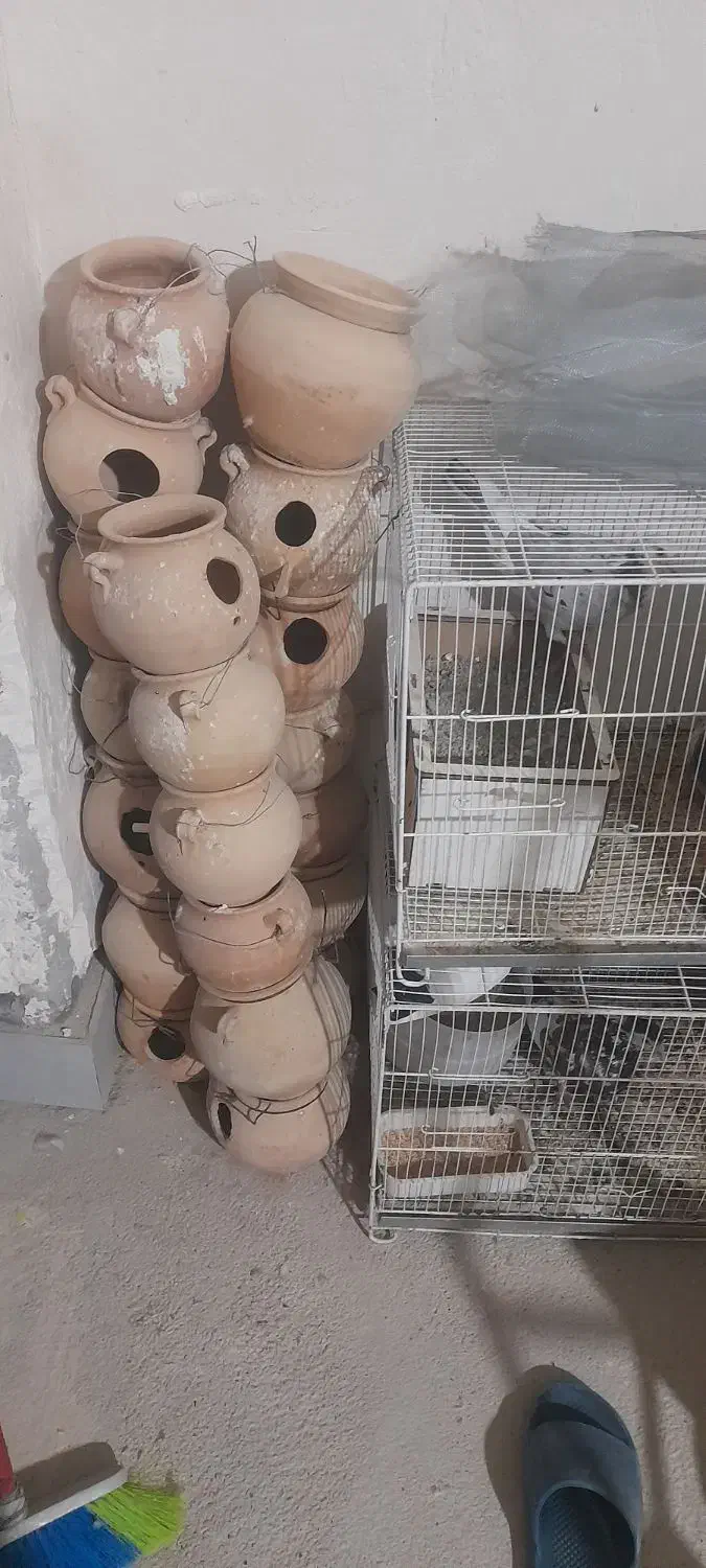 کوزه پرنده|لوازم جانبی حیوانات|شیروان (خراسان), |دیوار