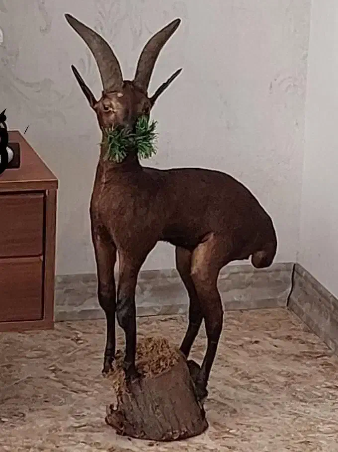 وسایل فروشی|حراج|سنندج, |دیوار