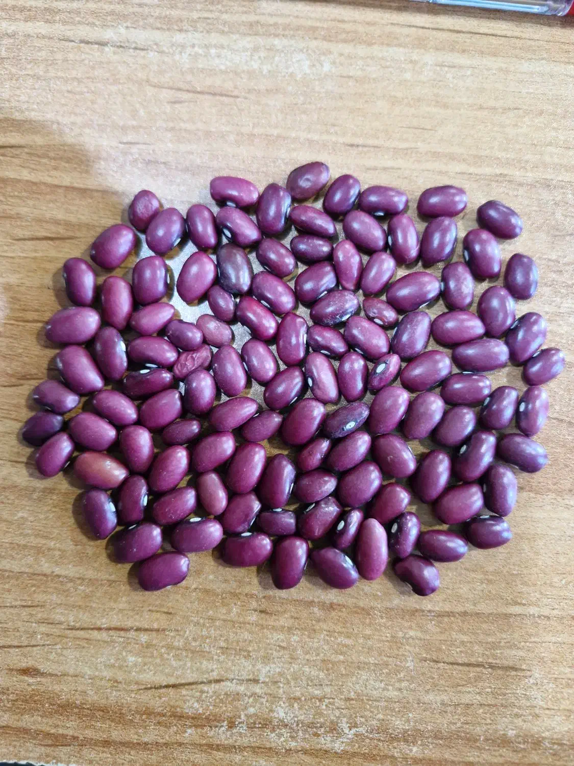 لوبیا قرمز|خوردنی و آشامیدنی|نهاوند, |دیوار