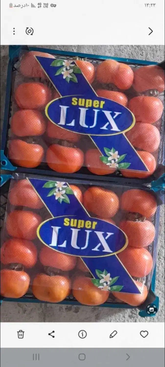 نایلون پرتقال و انار برای سردخانه موجود|عمدهفروشی|کردکوی, |دیوار