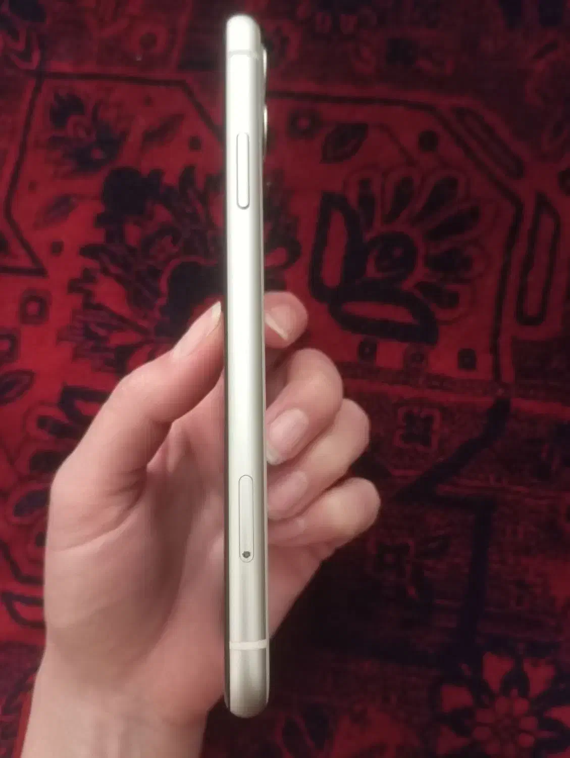 آیفون ۱۱|موبایل|تهران, صد دستگاه|دیوار