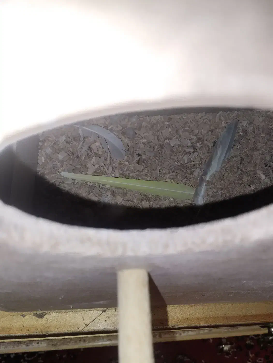 لانه مخوص گرینچیک|لوازم جانبی حیوانات|بردسکن, |دیوار