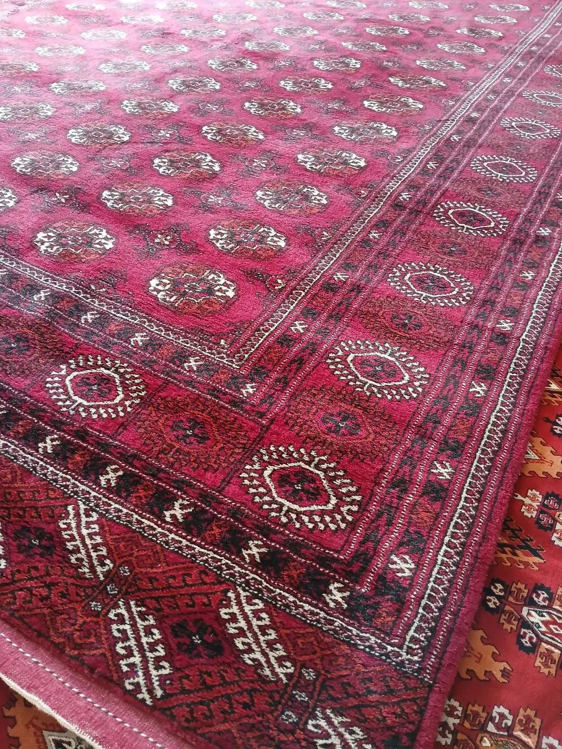 قالی ترکمنی اصیل دست باف|فرش|گنبد کاووس, |دیوار