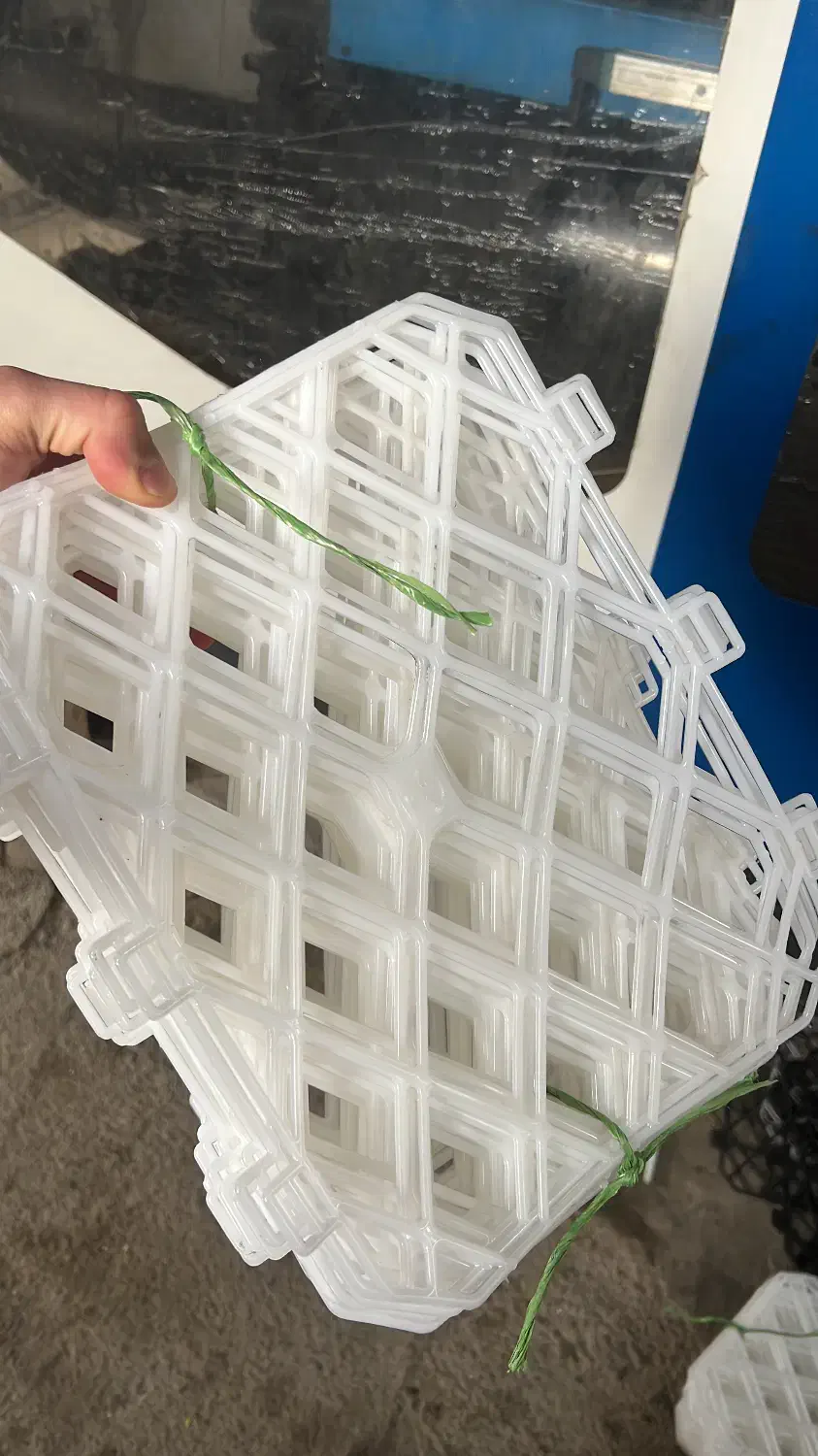 مجموعه سبدمیوه خدابندلو|ظروف نگهدارنده، پلاستیکی، یک‌بارمصرف|هشتگرد, تهران دشت|دیوار