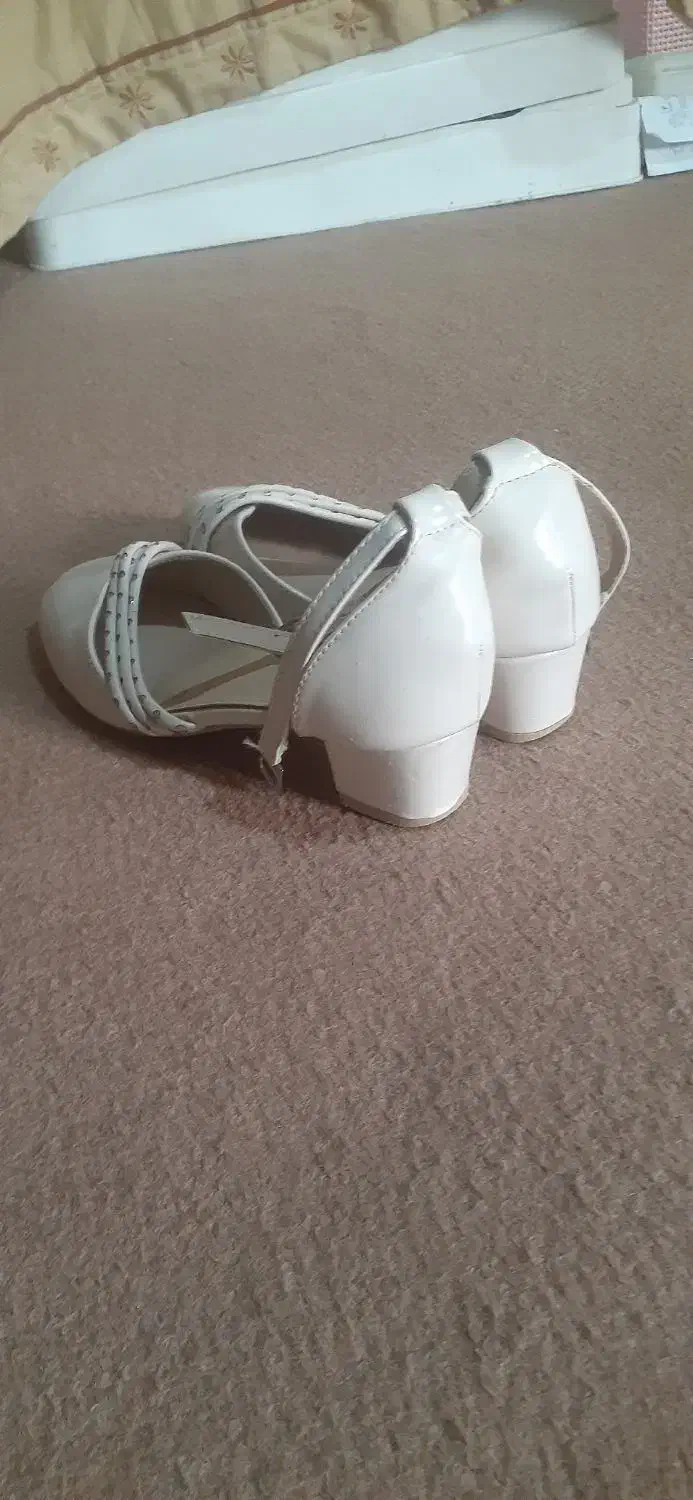 کفش مجلسی|کیف، کفش، کمربند|بوکان, |دیوار