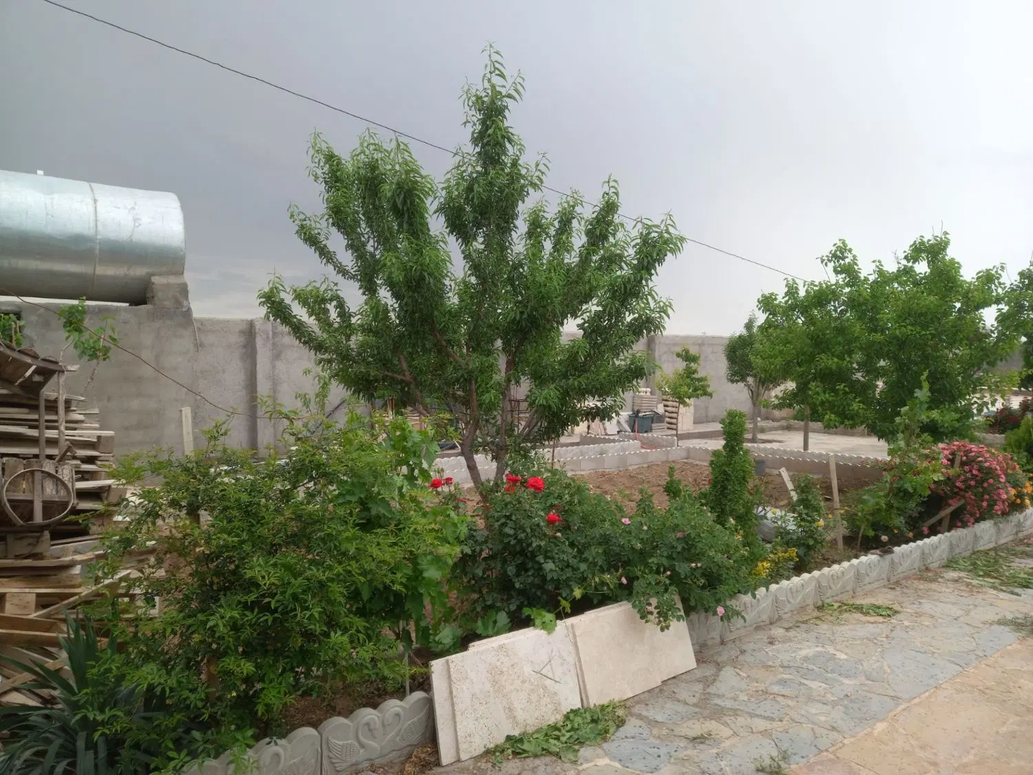 تصویر 2