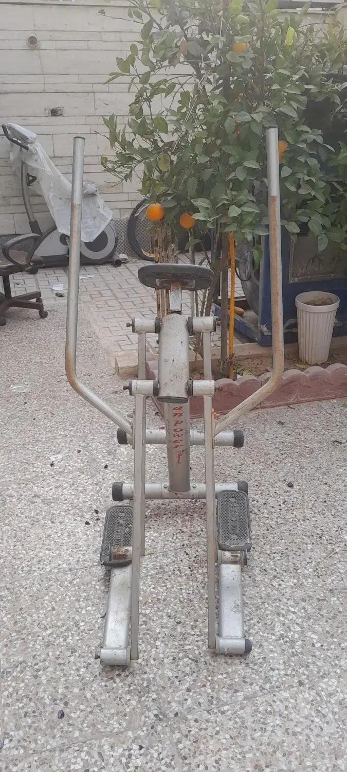 اسکی فضایی|تجهیزات ورزشی|شیراز, لاله|دیوار