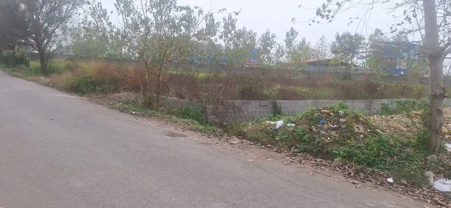 فروش ۱۹۰ زمین جاده انزلی فرودگاه|فروش زمین و ملک کلنگی|رشت, شکار اسطلخ|دیوار