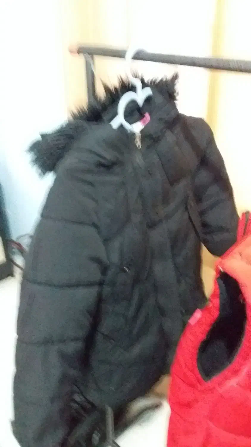 کاپشن  لارژ|لباس|صومعه‌سرا, |دیوار