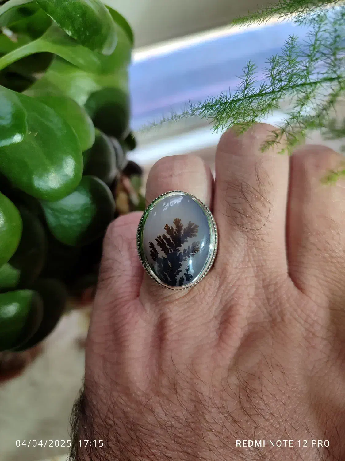 تعدادی انگشترشجر کلکسیونی|جواهرات|کرمانشاه, |دیوار