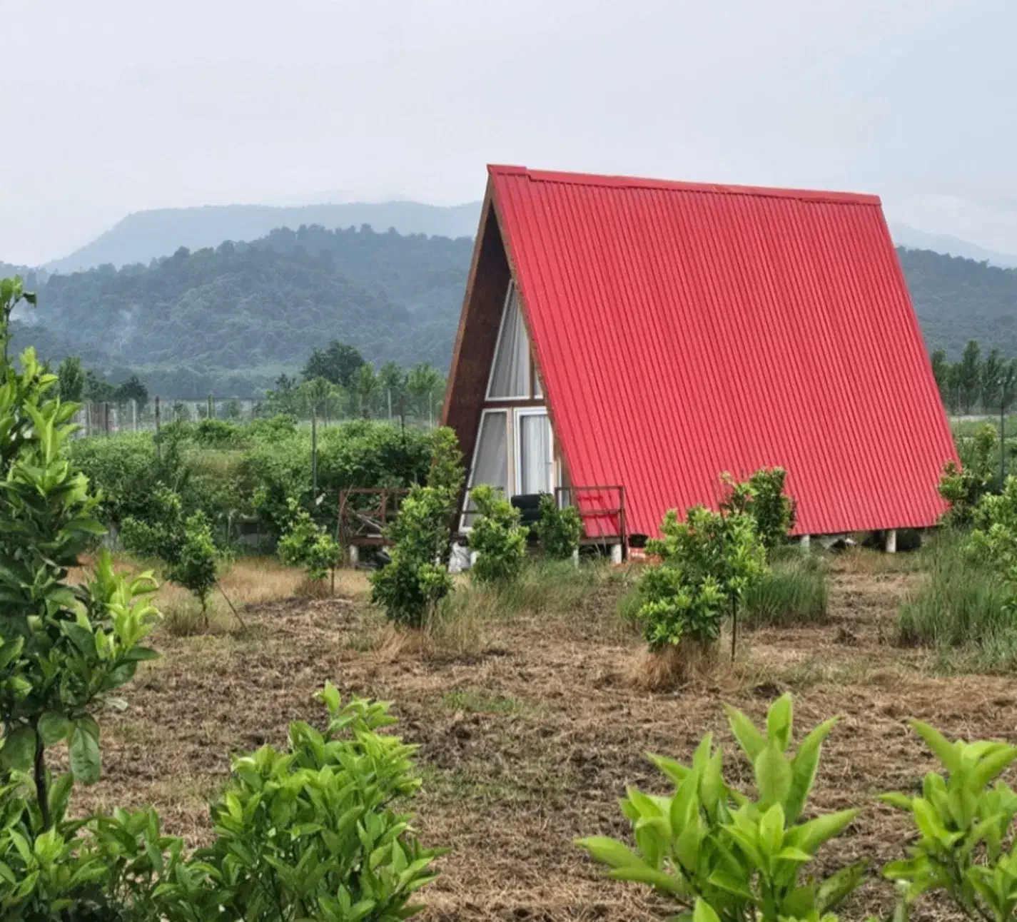 دیگه ویلادار شدن سخت نیست/ سندتک برگ با ویو|فروش زمین و ملک کلنگی|چمستان, |دیوار