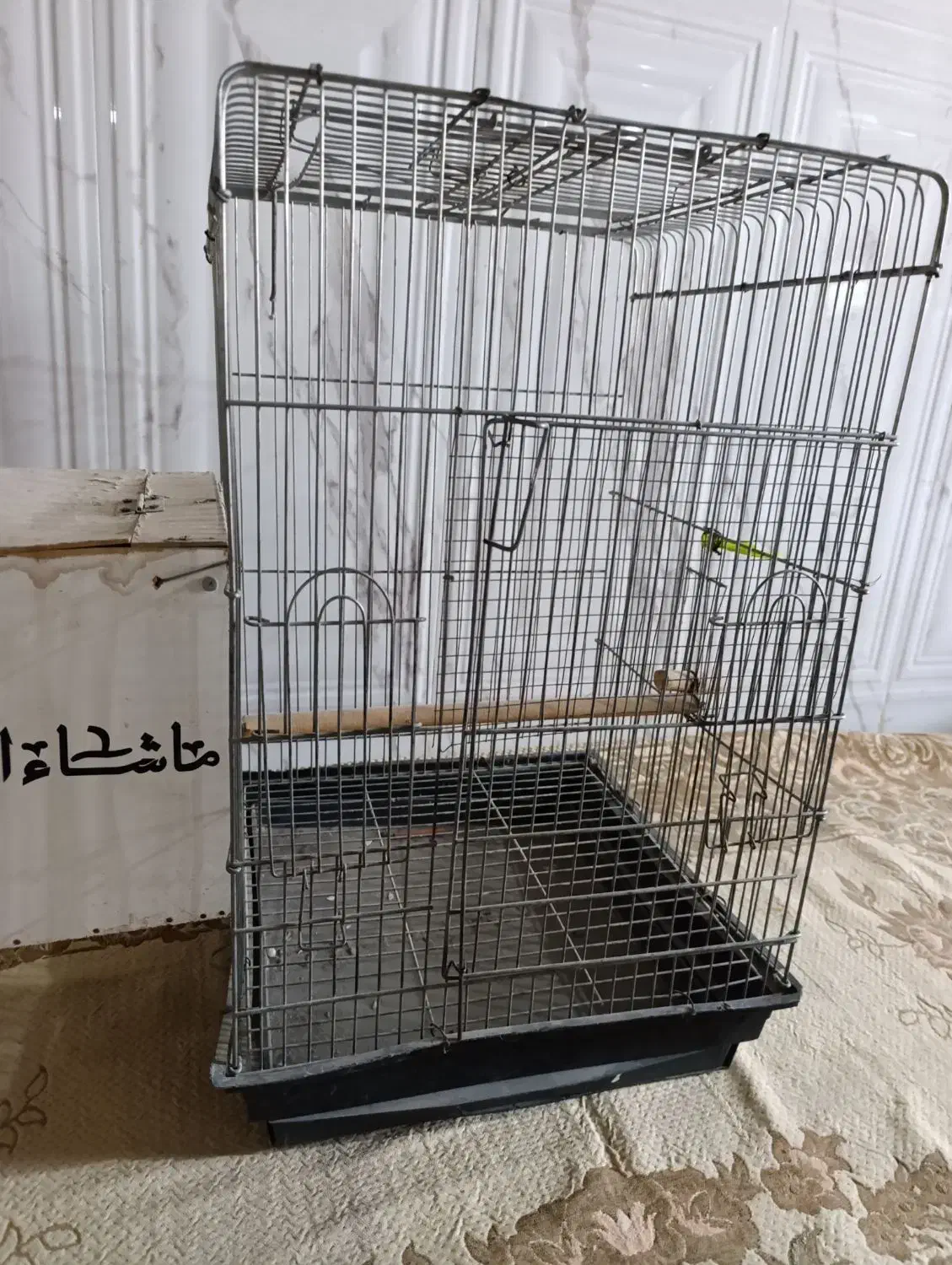 قفس|لوازم جانبی حیوانات|ایرانشهر, |دیوار