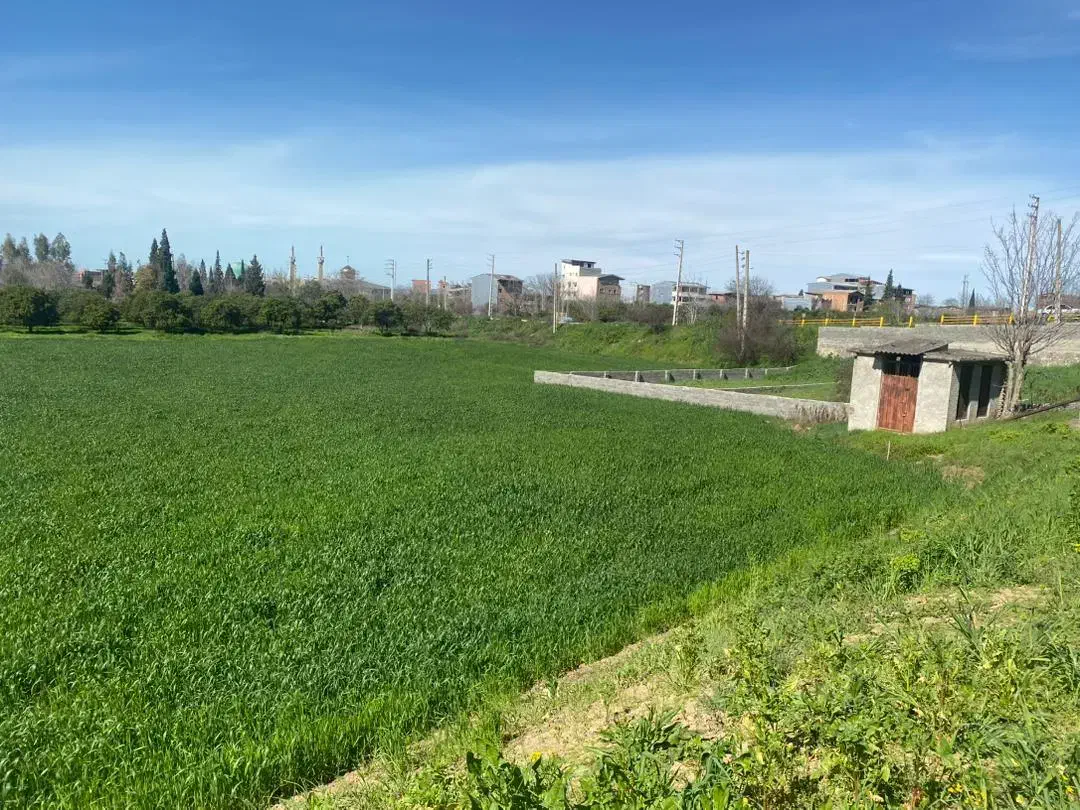 زمین برای سرمایه گذاری بهشر. خلیل شهر|فروش زمین و ملک کلنگی|خلیل شهر, |دیوار