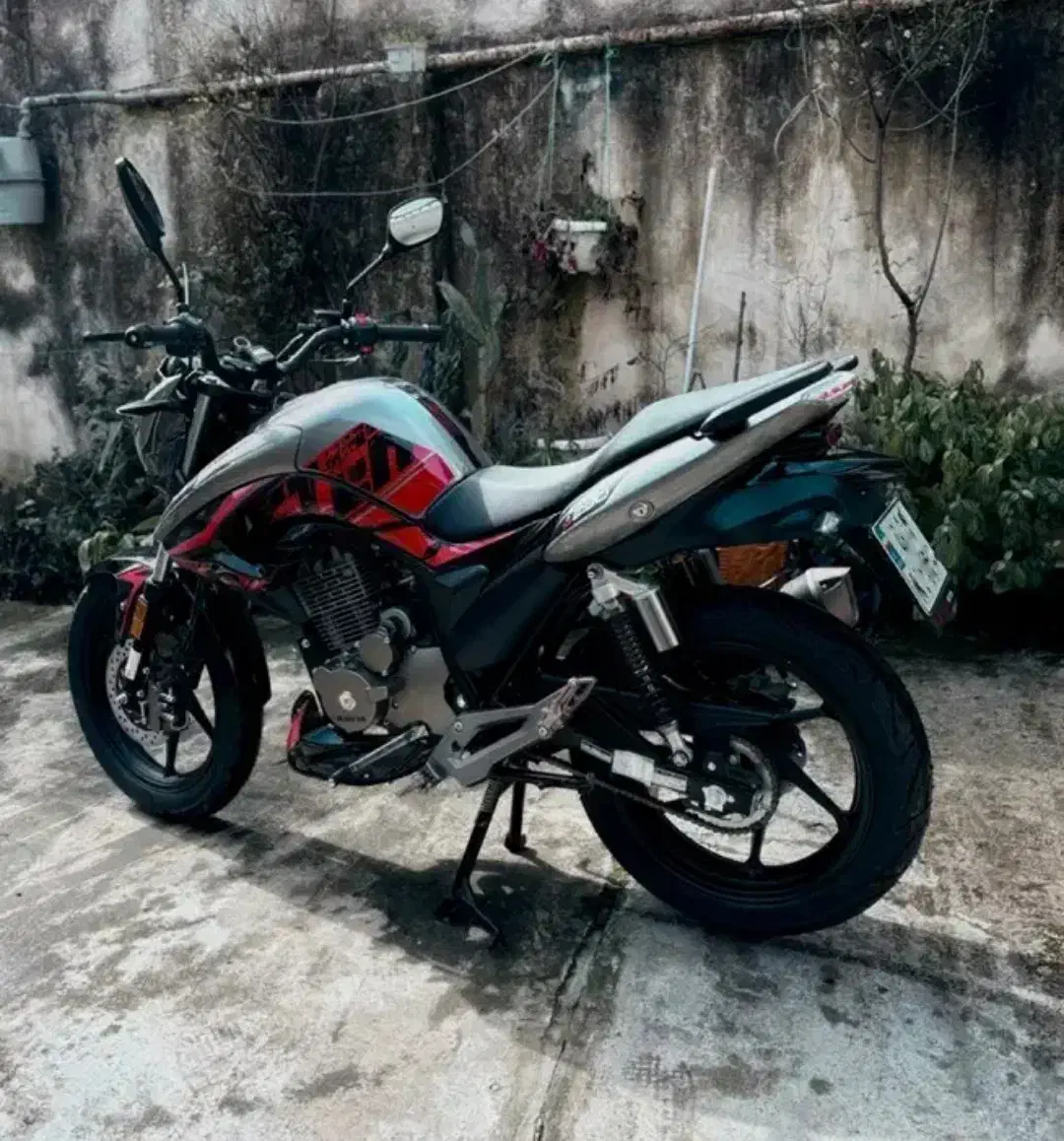 موتورسیکلت زونتس   Zontes 230 N2 کویر موتور|موتورسیکلت|رودسر, |دیوار