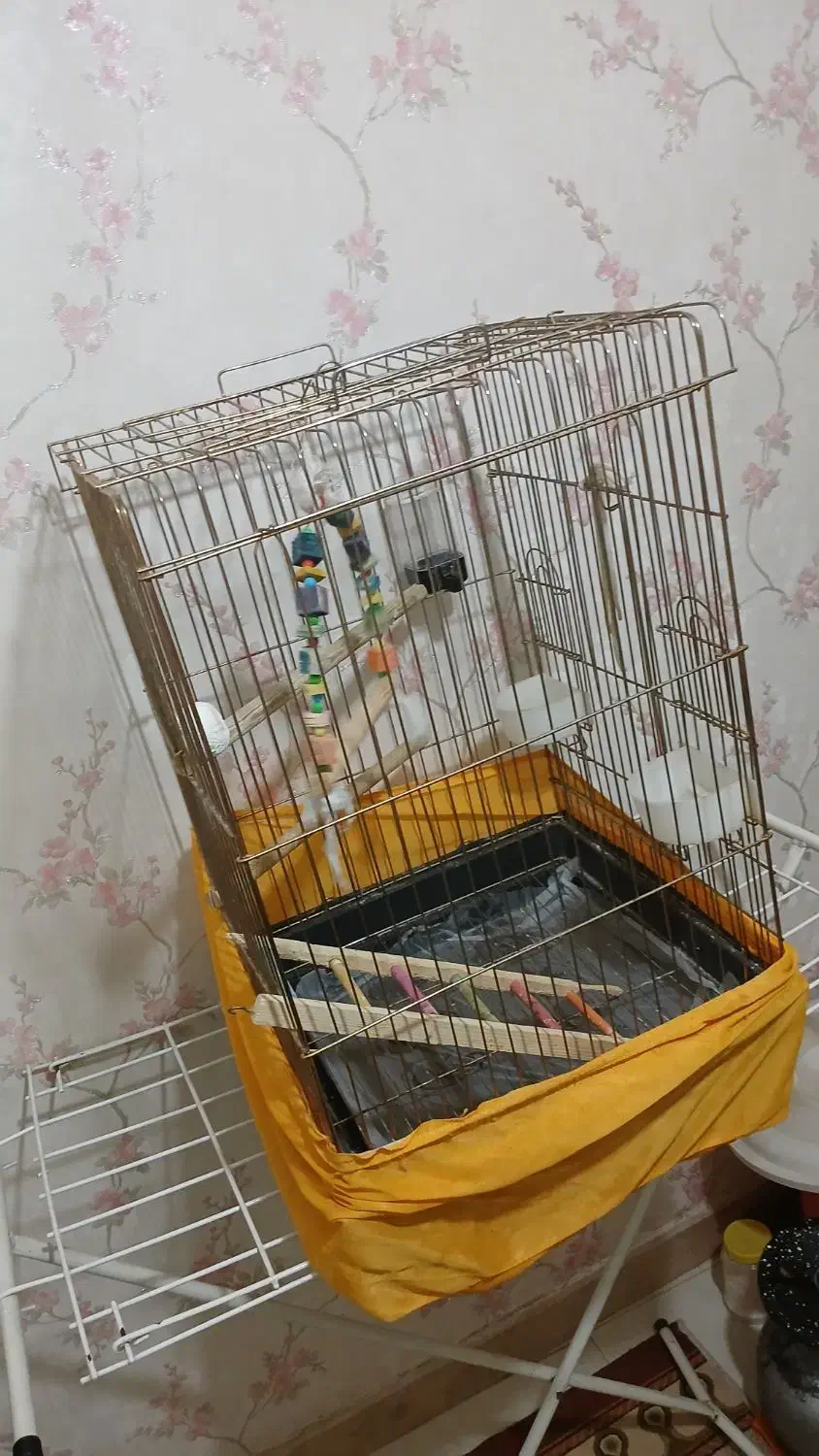 قفس پرنده|لوازم جانبی حیوانات|اسلامشهر, مظفریه|دیوار