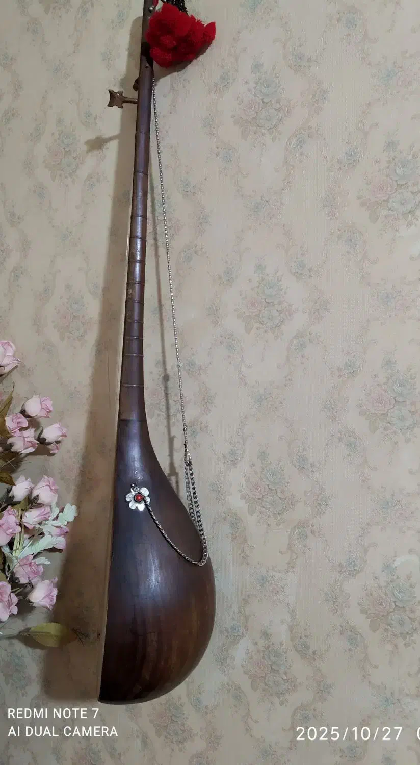 دوتارحرفه ای وخوش صدا|سازهای سنتی|اسفراین, |دیوار