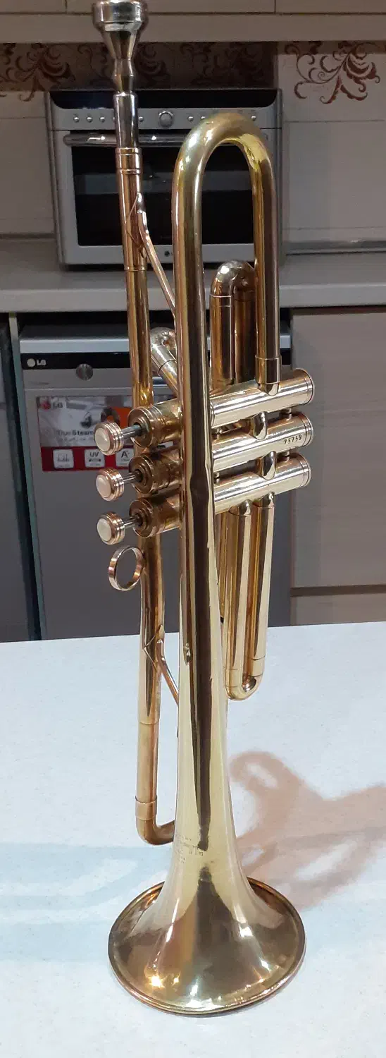 سازترومپ|سازهای بادی|تهران, شهرآرا|دیوار