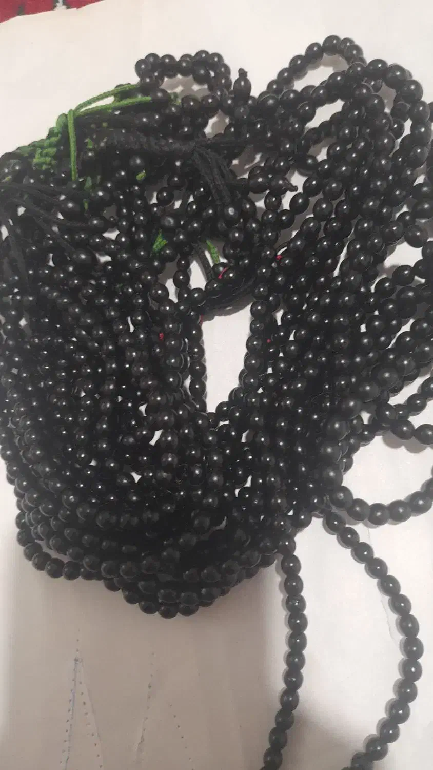 گل اختر|گل و گیاه طبیعی|رشت, باهنر|دیوار