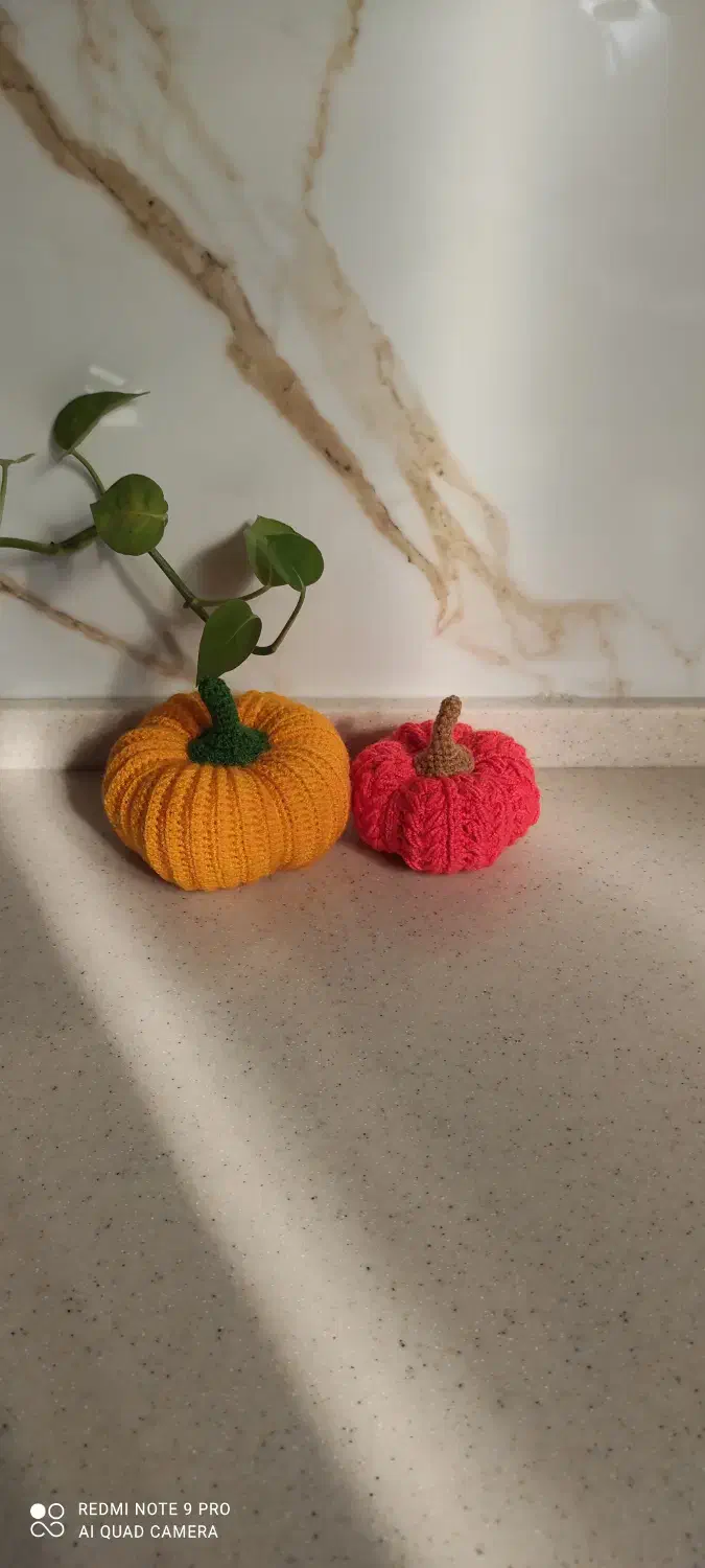 حیوانات بانمک|اسباب‌‌بازی|آران و بیدگل, |دیوار