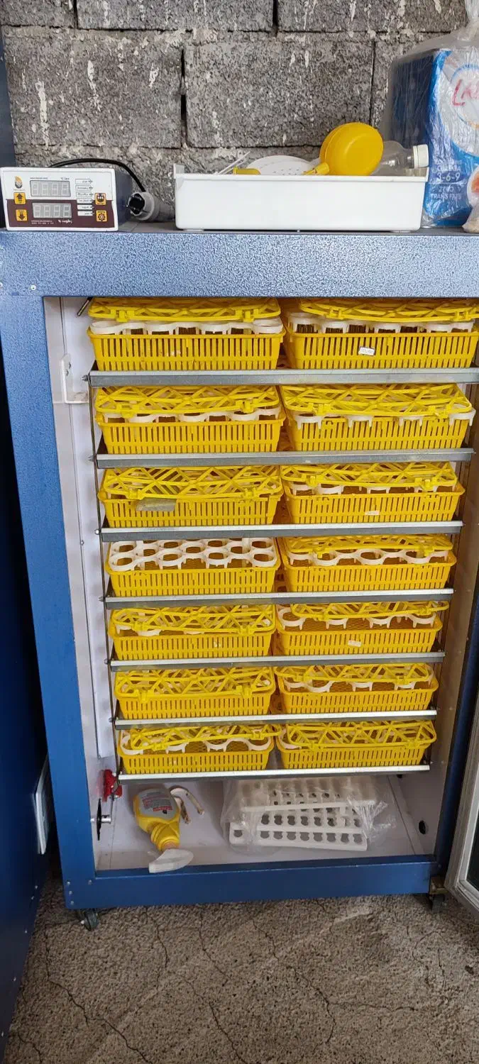 دستگاه 1850 عددی دماوند|لوازم جانبی حیوانات|بابل, |دیوار