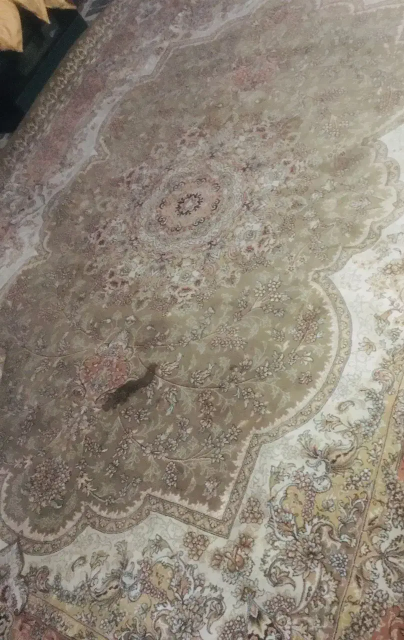 دو تخته فرش|فرش|رشت, نخودچر|دیوار