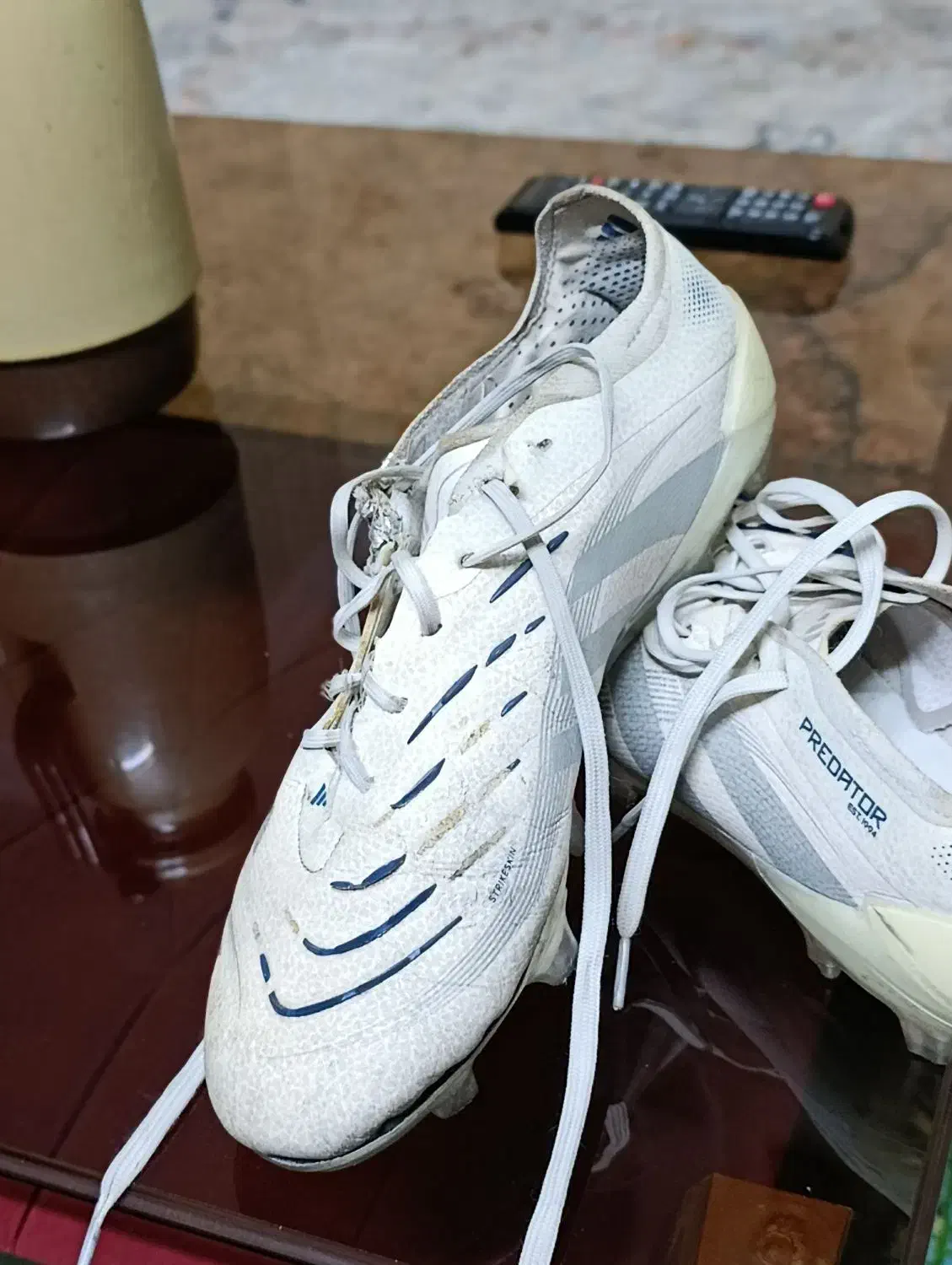 کفش فوتبال پردیتور|کیف، کفش، کمربند|مشهد, شهید رضوی|دیوار