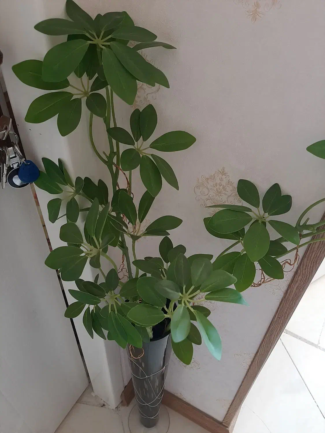 گل مصنوعی و گلدان|گل مصنوعی|شیراز, شیمی گیاه|دیوار