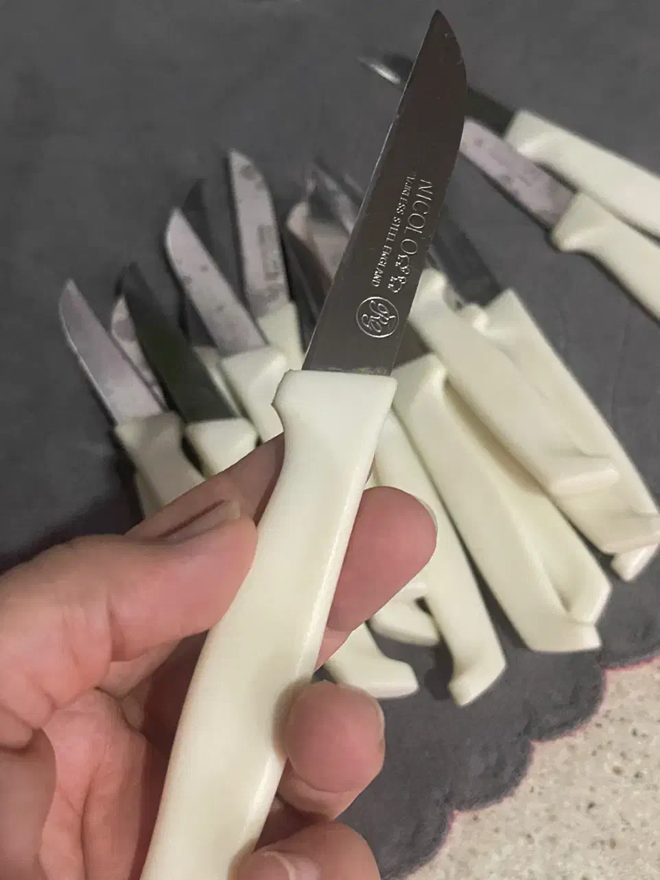 چاقو میوه خوری تیز ۱۶ عدد|ظروف سرو و پذیرایی|هشتگرد, هشتگرد قدیم|دیوار