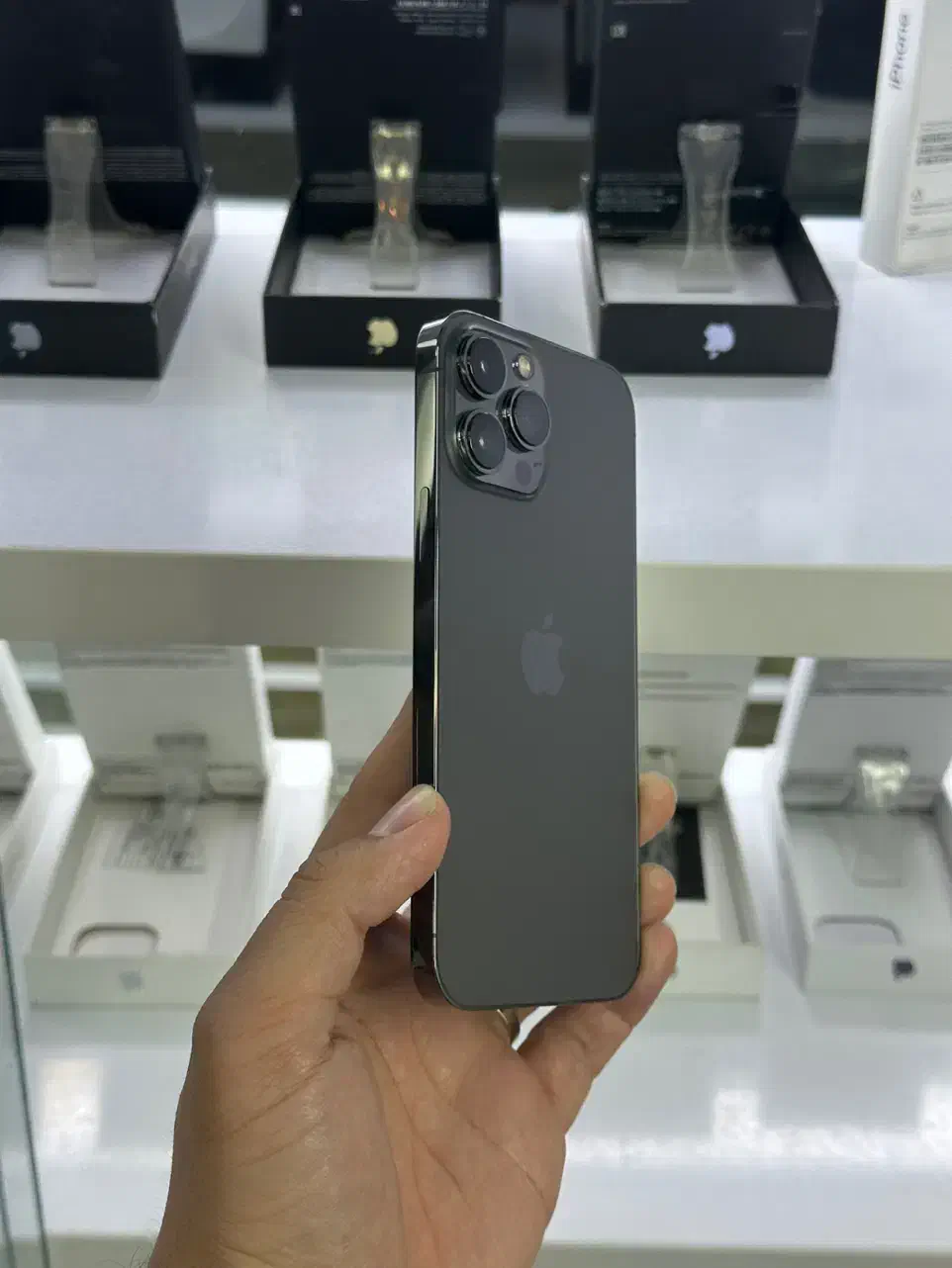 13promax 256 LLA|موبایل|پرند, فاز ۲|دیوار