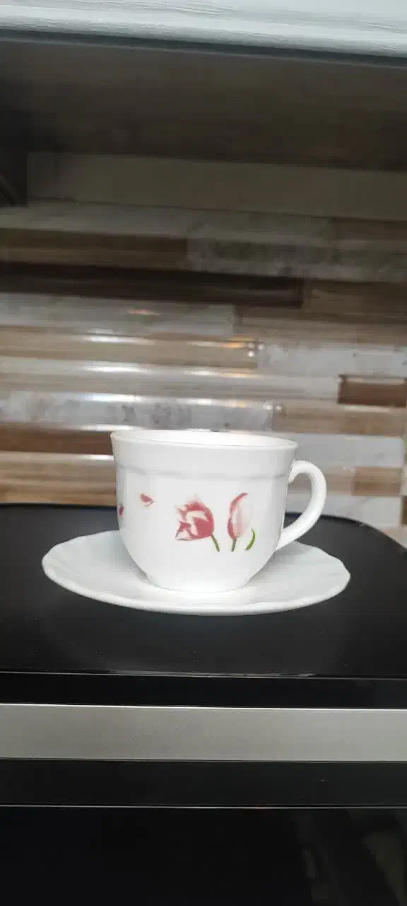 فنجون|ظروف سرو و پذیرایی|تهران, صفا|دیوار