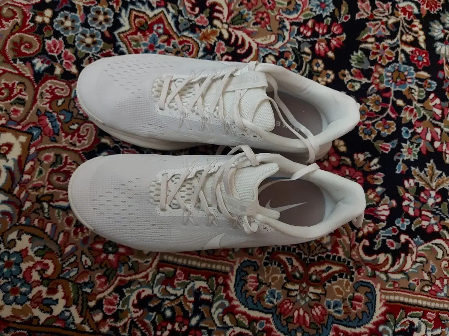 کتونی نایکی|کیف، کفش، کمربند|قروه, |دیوار