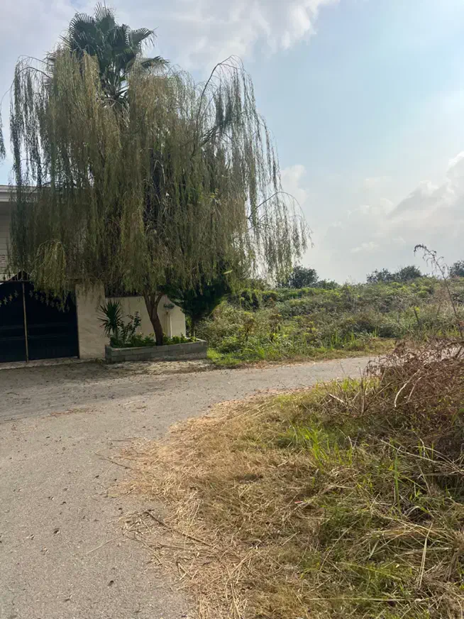 زمین دوجمان|فروش زمین و ملک کلنگی|هچیرود, |دیوار