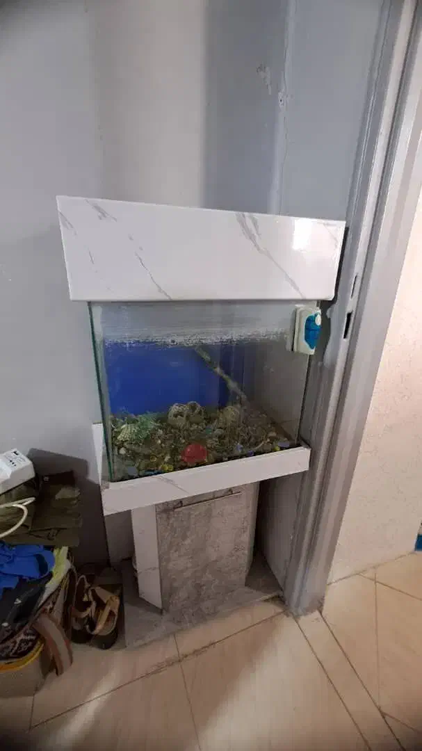 اکواریوم|لوازم جانبی حیوانات|تهران, جوادیه|دیوار