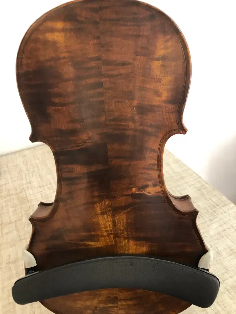 ویولن حرفهای|ویولن|بوکان, |دیوار