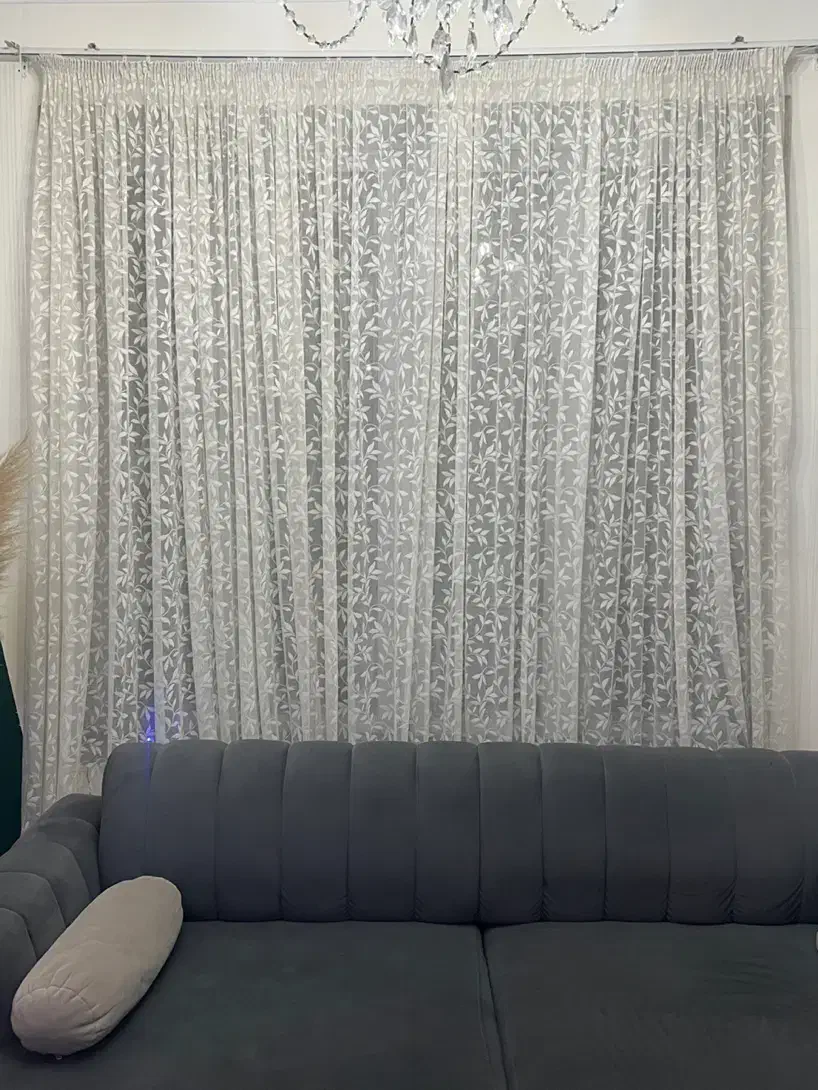 دو عدد پرده|پرده، رانر، رومیزی|آمل, |دیوار