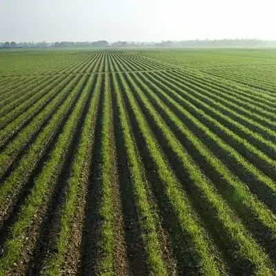 فروش زمین کشاورزی قره آغاج مغان|فروش زمین و ملک کلنگی|انگوت, |دیوار