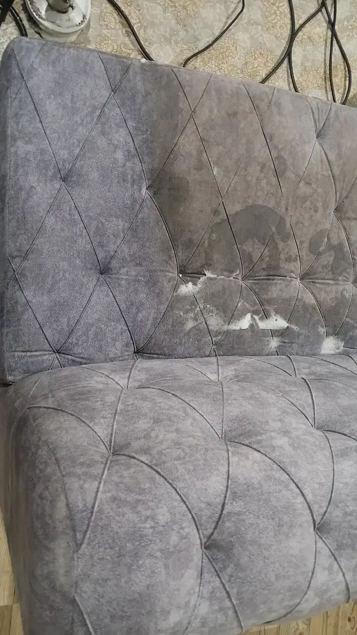 خدمات مبل شویی نوین شو شستشو تضمینی|خدمات نظافت|رشت, معلم|دیوار