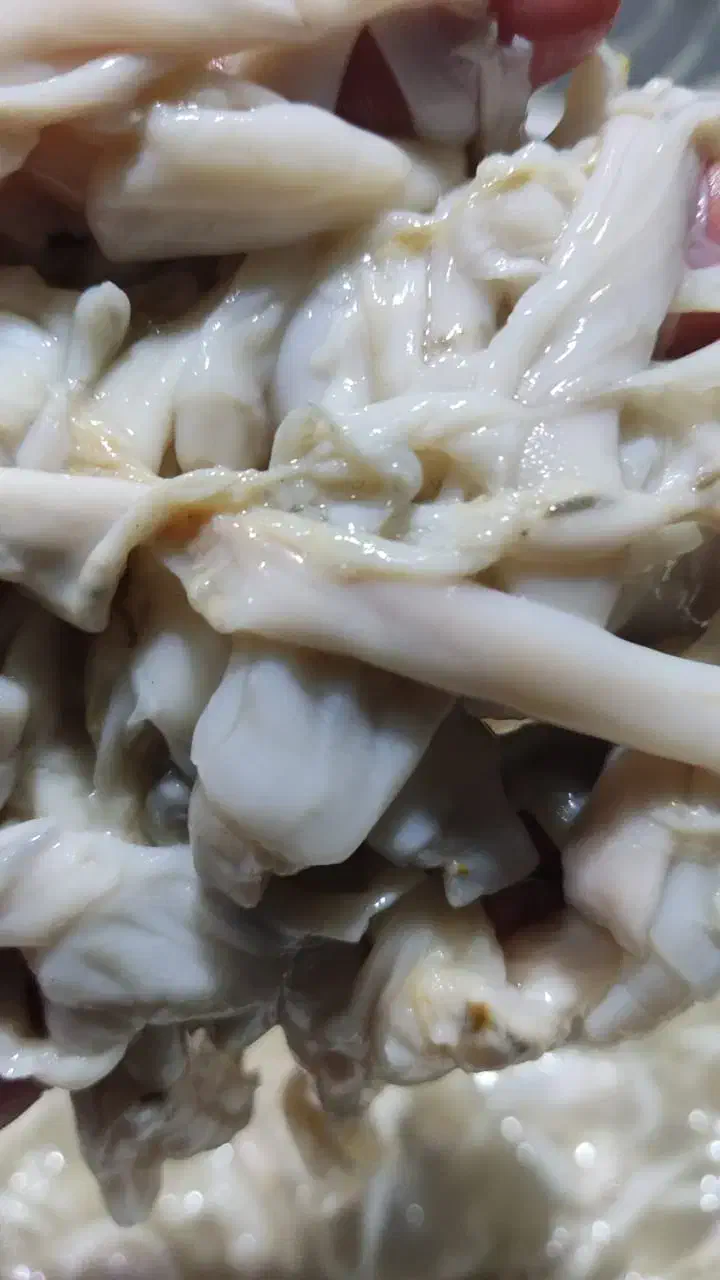 ملوک|عمدهفروشی|قشم, |دیوار