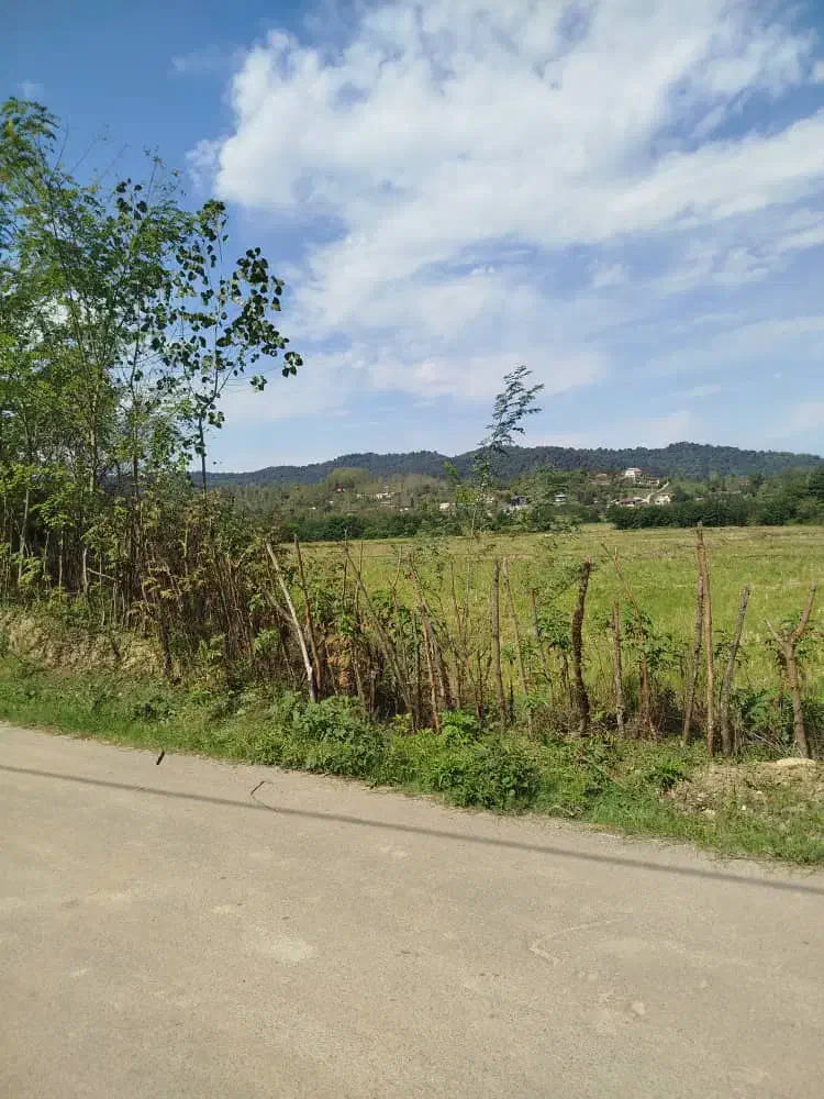 زمین شفت روستا بیجار سر|فروش زمین و ملک کلنگی|رشت, سلیمانداراب|دیوار