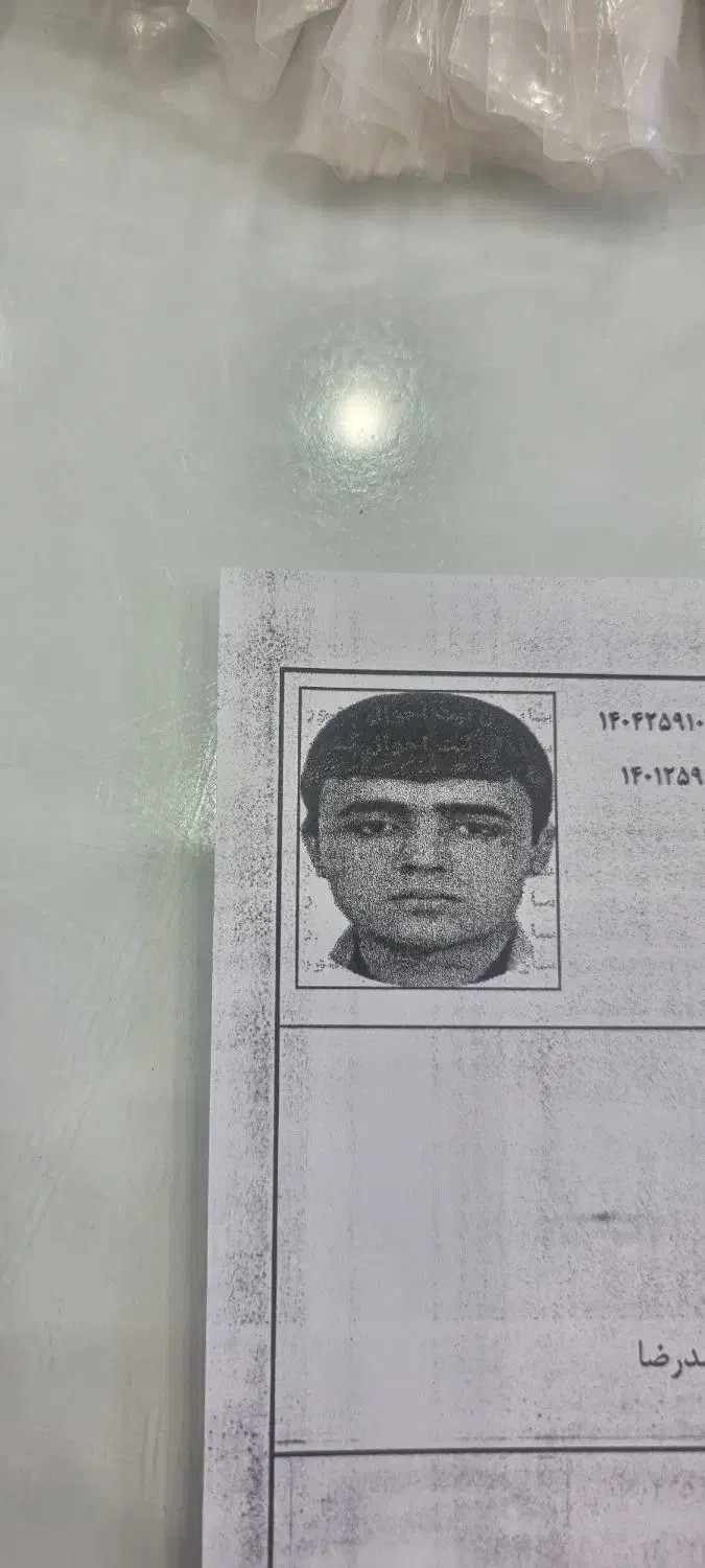 گمشده لطفا اطلاع دهید مژدگانی بگیرید|فعالیت داوطلبانه|سبزوار, هفت تیر|دیوار