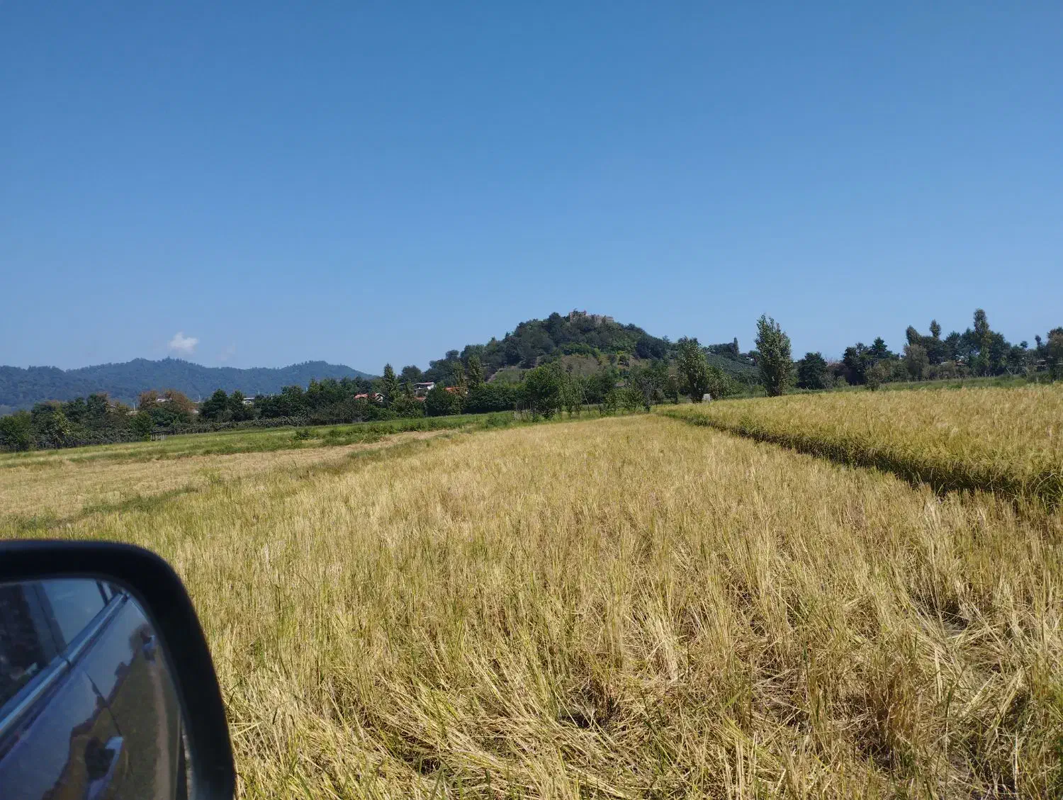 فروش زمین ۱۰۰۰ متری درلیسار تالش|فروش زمین و ملک کلنگی|لیسار, |دیوار