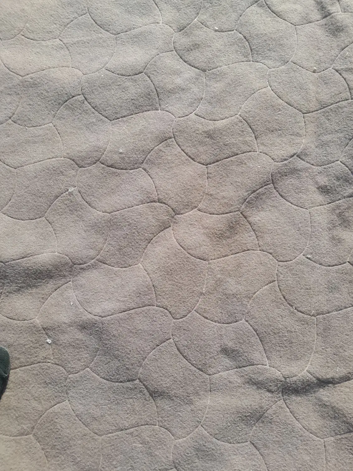 موکت تقریبی ۲۵متر|موکت|مشهد, طبرسی شمالی|دیوار