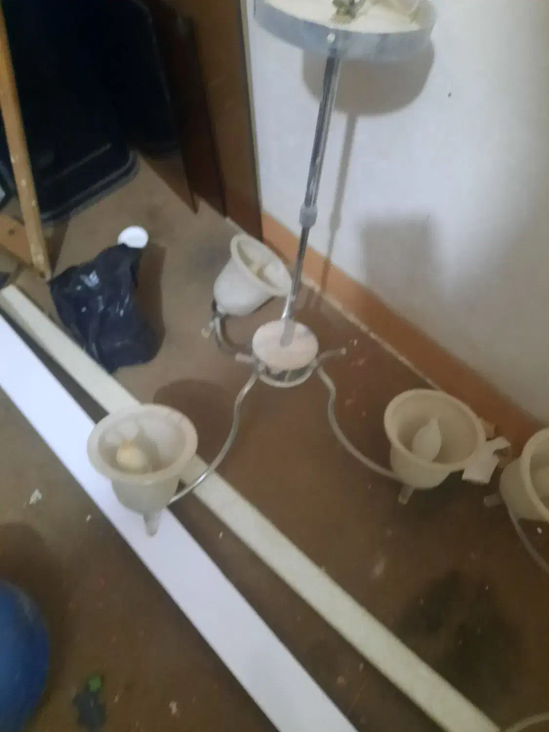 باسلام سه عدد لوستر دو عدد سه شاخه یک تک شاخه|لوستر و چراغ آویز|مشهد, حجاب (شهرک غرب)|دیوار