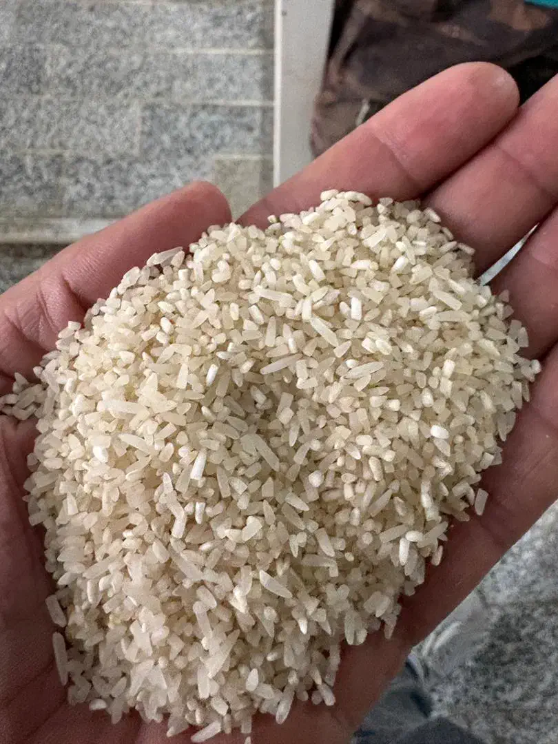 برنج شمالی اصل ارسال به شیراز|خوردنی و آشامیدنی|شیراز, معالی‌آباد|دیوار