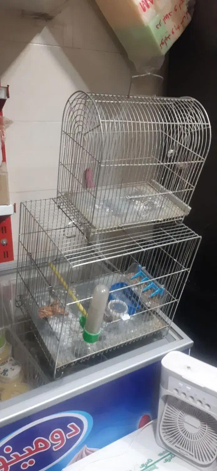 دوتا قفس پرنده کوچک و بزرگ|لوازم جانبی حیوانات|سنندج, |دیوار