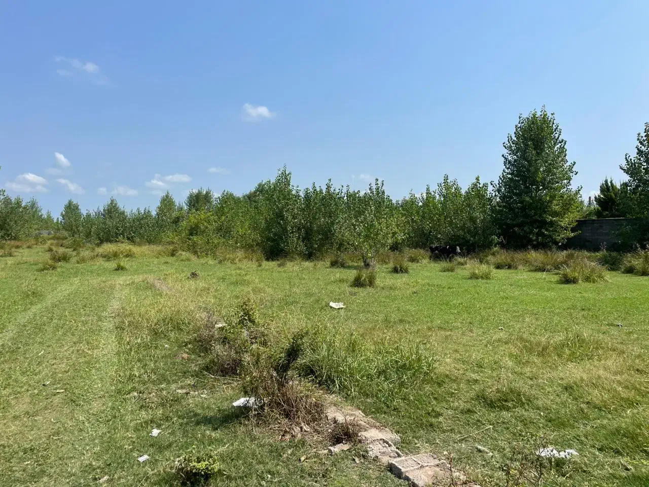 فروش زمین صنعتی محصور سند دار ۴۶۲۴ متری|فروش زمین و ملک کلنگی|لاهیجان, بازکیاگوراب|دیوار